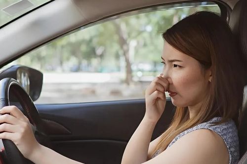 Lái xe lâu năm nhưng nhiều người không biết nút bấm ngăn mùi hôi trong ô tô