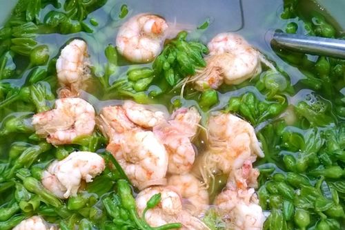 Cách nấu canh hoa thiên lý với tôm giải nhiệt ngày hè