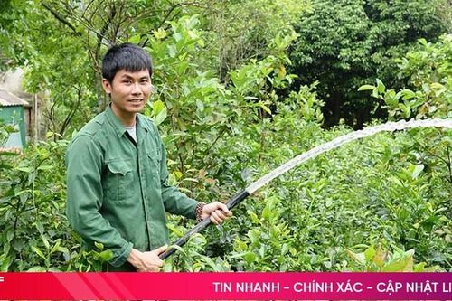 Nhiều thanh niên Can Lộc 'thắng lớn' khi khởi nghiệp tại quê hương