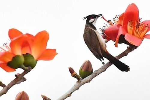 Viết thư cho mẹ tháng 3