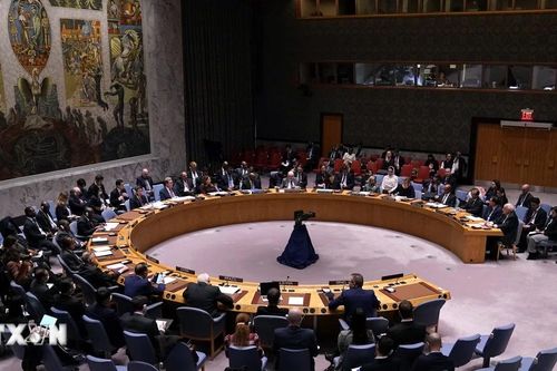 Hội đồng Bảo an chưa đạt đồng thuận về tư cách thành viên LHQ của Palestine