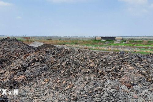 Đồng Tháp: Xác minh phản ánh cơ sở nuôi trùn quế gây ô nhiễm môi trường