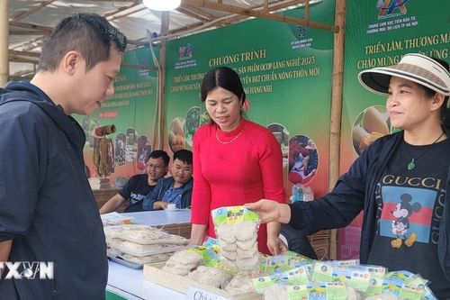 Hà Nội công nhận danh hiệu cho 15 làng nghề và làng nghề truyền thống