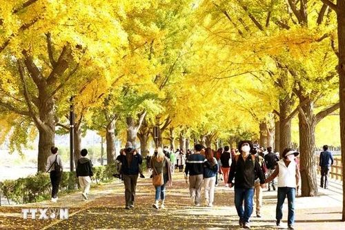 Hàn Quốc dự kiến người nước ngoài chiếm gần 7% tổng dân số vào năm 2042