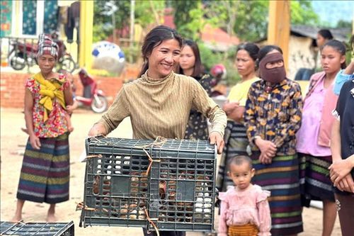 Trao hỗ trợ sinh kế cho phụ nữ khu vực biên giới