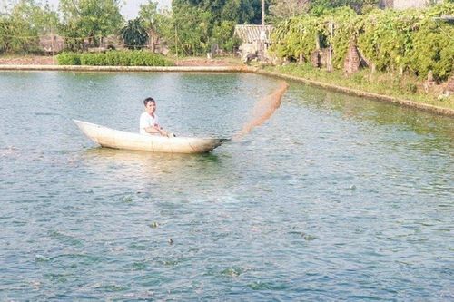Anh nông dân nuôi 'con vật hiền khô' mê nước, nhẹ nhàng lãi 1 tỷ đồng