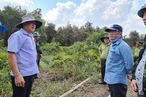 Cà Mau: Hỏa tốc làm rõ nguyên nhân vụ cháy rừng tràm