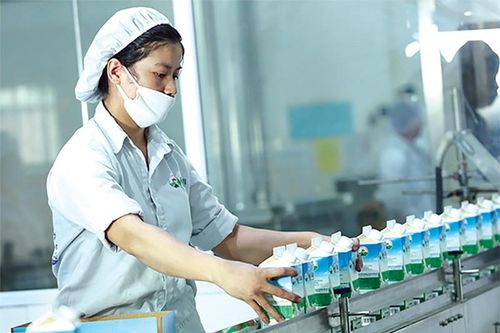 Phát triển ngành công nghiệp chế biến sữa Việt Nam theo hướng hiện đại