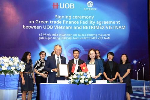 UOB Việt Nam hợp tác cùng Betrimex thúc đẩy sản xuất dừa bền vững