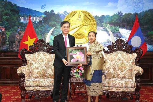 Thắt chặt tình hữu nghị giữa tỉnh Đồng Tháp và tỉnh Salavan