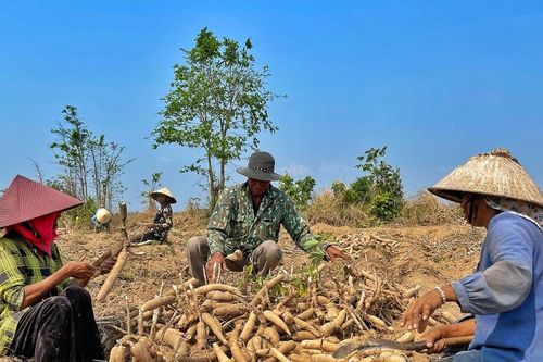 Ra mắt Câu lạc bộ Nông dân với pháp luật tại xã Đất Bằng