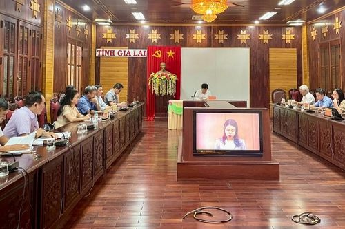 Giao ban công tác phi chính phủ nước ngoài năm 2024