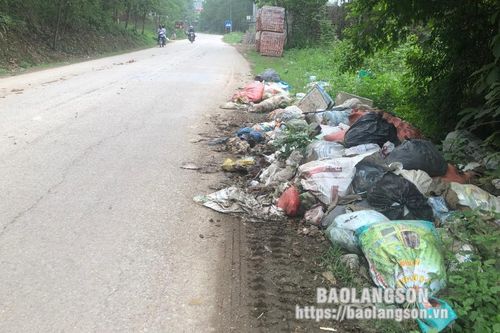 Xả rác bừa bãi ven đường tỉnh 242