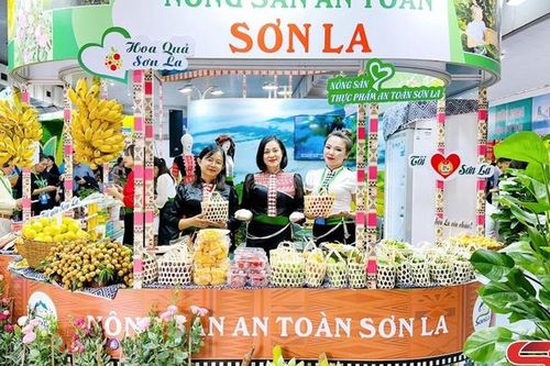 Sơn La tham gia Hội chợ Du lịch quốc tế Việt Nam – VITM Hà Nội năm 2024