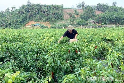 Dấu ấn Kinh tế quý I - Bài cuối: Thế mạnh được khẳng định