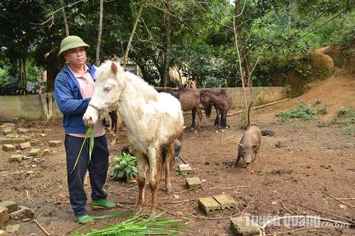 Hành trình thành triệu phú