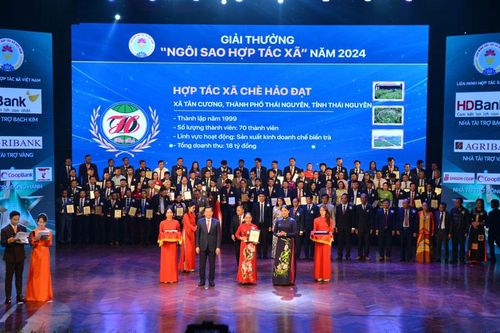 Thái Nguyên: 2 đơn vị nhận giải Ngôi sao hợp tác xã năm 2024