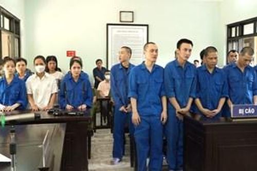 Tổ chức 'bay lắc' trong quán karaoke, 16 người lĩnh án