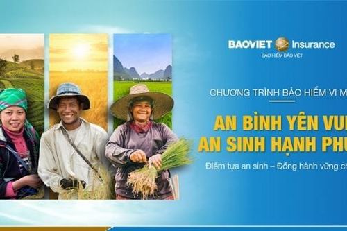 Bảo hiểm vi mô: Điểm tựa an sinh cho những người yếu thế