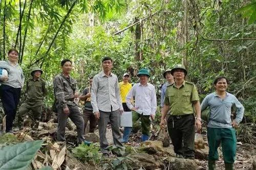 Tuyên Quang: Chiêm Hóa quản lý, bảo vệ rừng