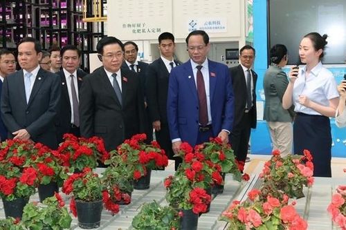 Chủ tịch Quốc hội Vương Đình Huệ thăm một số mô hình kinh tế tiêu biểu của tỉnh Vân Nam, Trung Quốc