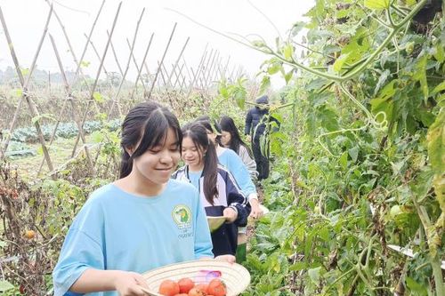 Du lịch chuyển đổi xanh để phát triển bền vững