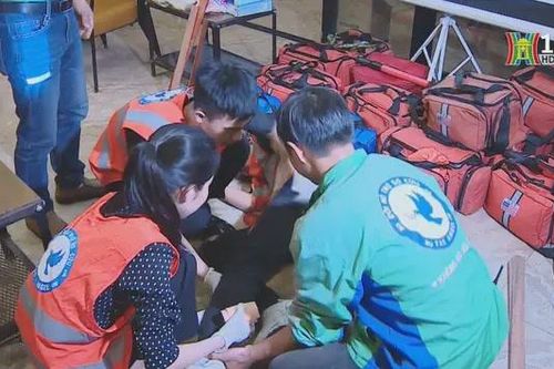 Những bông hoa giữa đời thường