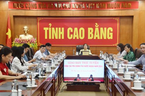 Hội nghị giao ban trực tuyến toàn quốc về công tác phi chính phủ nước ngoài