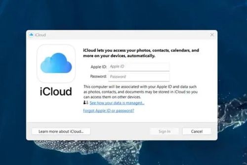 Cách truy cập và quản lý ảnh iCloud trên các thiết bị không phải của Apple