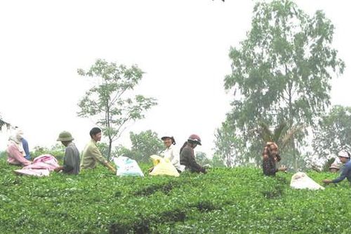 Đẩy mạnh các phong trào thi chào mừng Đại hội đại biểu các dân tộc thiểu số