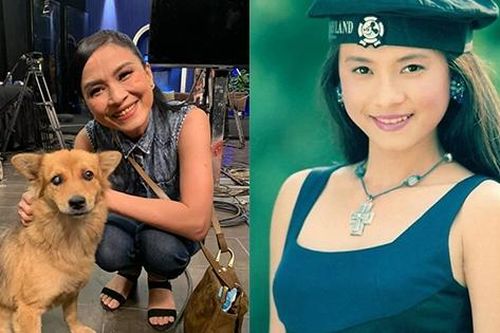 Nữ chính 'Cô gái xấu xí': Mỹ nhân Sài thành nức tiếng, tuổi xế chiều kín tiếng sau biến cố tai nạn và bệnh tật