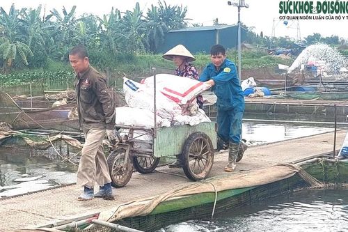 Nguyên nhân cá nuôi lồng ở Hải Dương bất ngờ chết hàng loạt