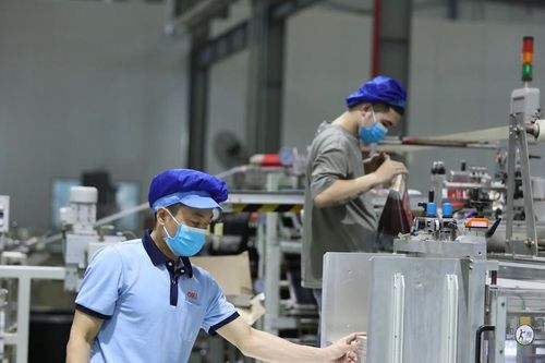 Chậm, trốn đóng bảo hiểm xã hội: Cần tăng mạnh chế tài