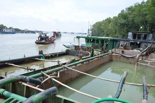'Cát tặc' vẫn lộng hành