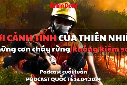 Lời cảnh tỉnh của thiên nhiên: những cơn cháy rừng không thể kiểm soát