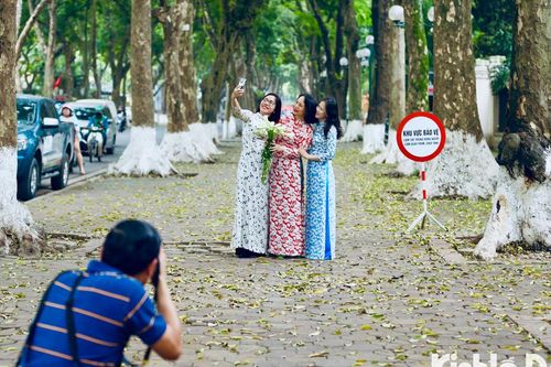Hà Nội: Ngắm nhìn vẻ đẹp mộng mơ mùa sấu thay lá trên phố Phan Đình Phùng