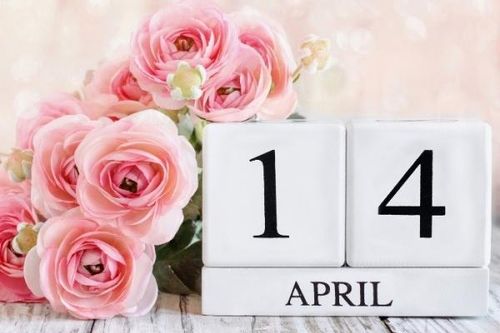 Ngày 14/4/2024 là ngày gì? ngày 14/4 là Valentine gì?