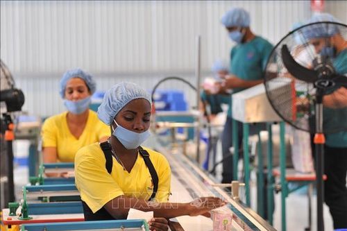 Tháo gỡ khó khăn cho các doanh nghiệp Việt Nam đầu tư tại Cuba