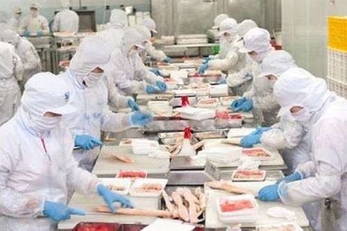 Nam Việt - Navico (ANV) lợi nhuận giảm 94%, vẫn đặt mục tiêu cao năm 2024