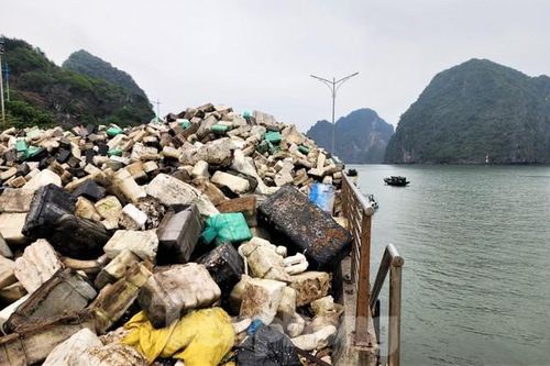 'Khách du lịch quan tâm hàng đầu về vấn đề môi trường'