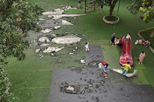 Xót xa cảnh hoang tàn, xuống cấp tại công viên Cầu Giấy