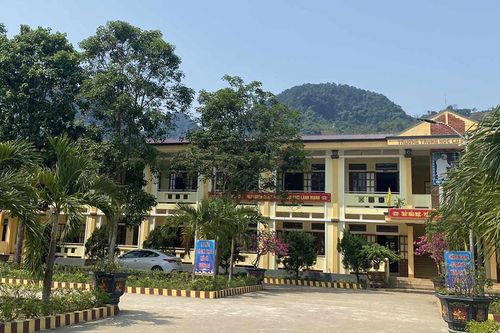 Vụ nam sinh lớp 6 đọc viết chưa thạo: Truy trách nhiệm giáo viên tiểu học