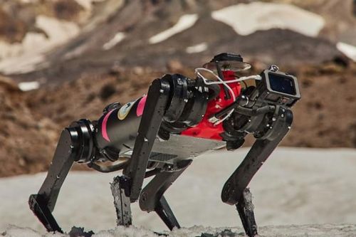NASA huấn luyện chó robot cho sứ mệnh giải cứu trên mặt trăng