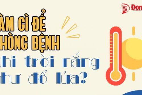 Làm gì để phòng bệnh khi trời nắng như 'đổ lửa'?