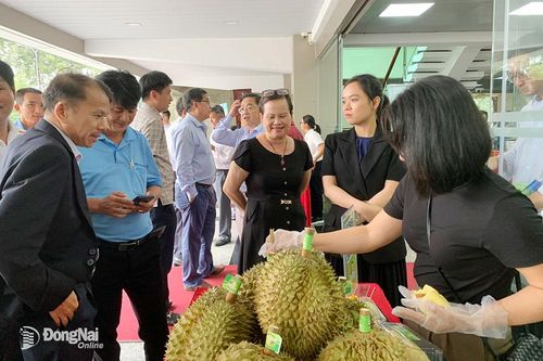 Ông Nguyễn Văn Mười, Trưởng cơ quan phụ trách phía Nam, Hội Làm vườn Việt Nam:: Cần phát triển nông nghiệp tuần hoàn