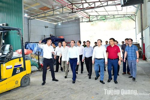 Các đồng chí lãnh đạo tỉnh kiểm tra sản xuất tại cơ sở