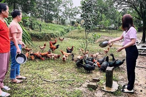 Nhiều dự án sinh kế từ Quỹ Hỗ trợ nông dân
