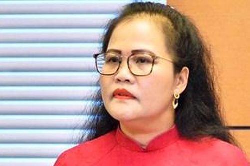 Triển khai luật, nghị quyết phù hợp với thực tiễn của địa phương