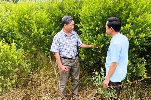 Thoát nghèo, ổn định cuộc sống