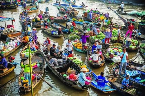 Cần Thơ: Phát triển du lịch thích ứng biến đổi khí hậu